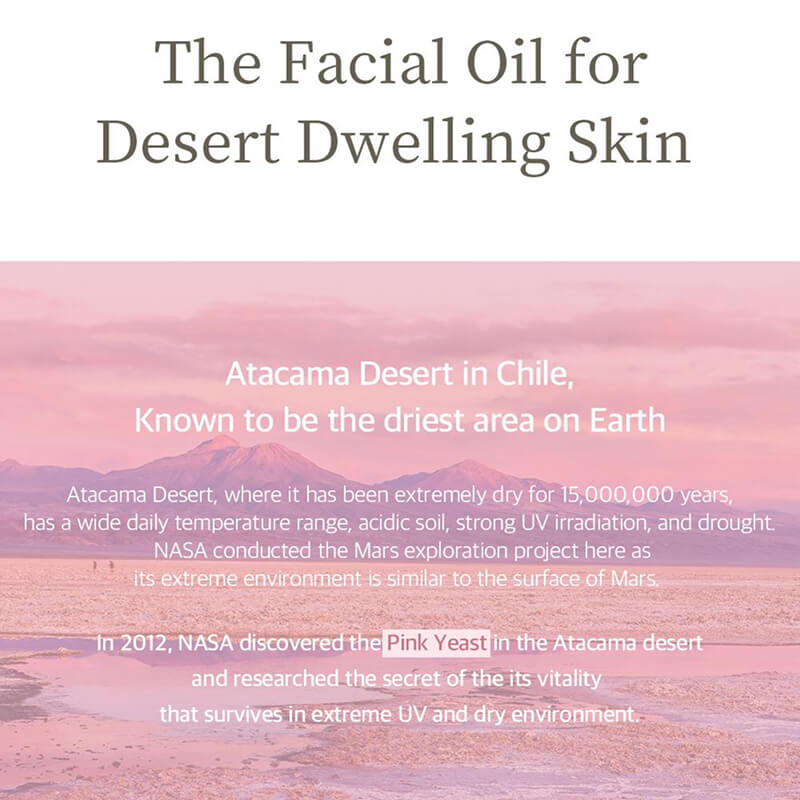 [Needly] face light oil 30ml