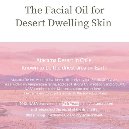 [Needly] face light oil 30ml