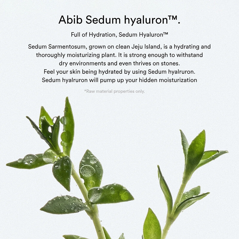 [Abib] Sedum Hyaluron Crème Hydrating Pot 80ml