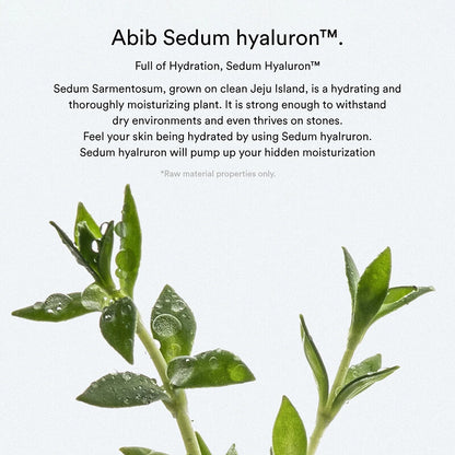 [Abib] Sedum Hyaluron Crème Hydrating Pot 80ml