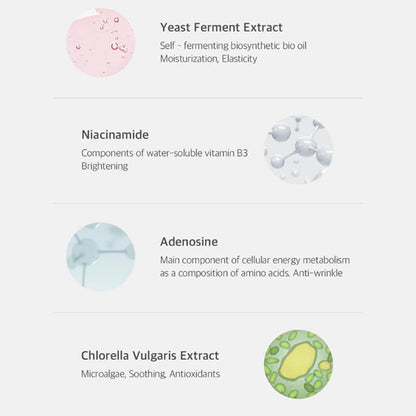 [Needly] face light oil 30ml