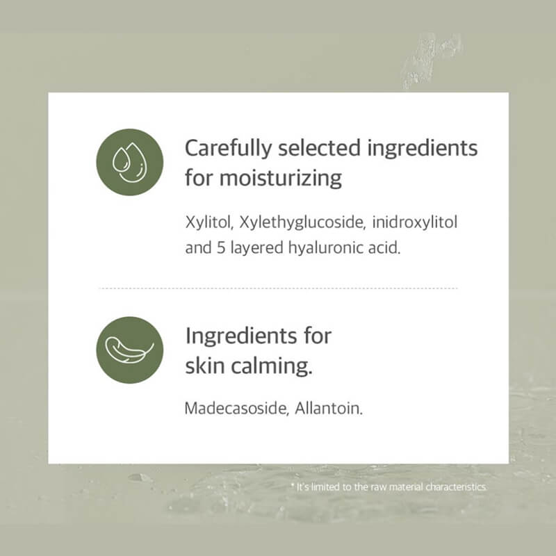 [Needly] Cicachid Chilling Pad 70 Sheets