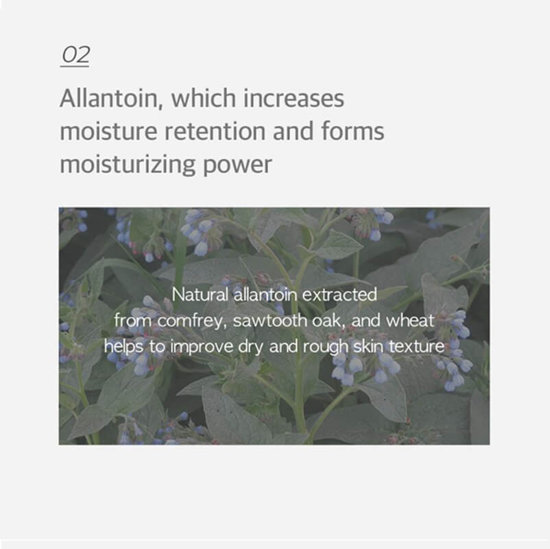 [Needly] Ampoule real active panthenol plus 50ml