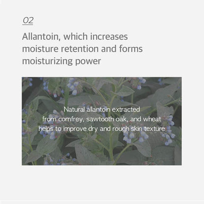 [Needly] Ampoule real active panthenol plus 50ml