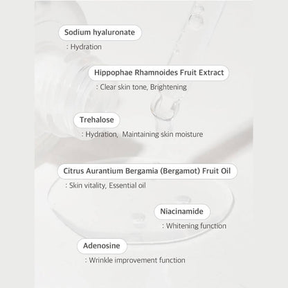 [Needly] Ampoule real active panthenol plus 50ml